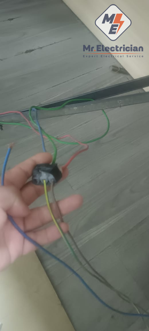 Rat Damage Electrical Issue Shah Alam
